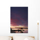 Floatplane And Sunset Wall Mural