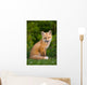 Young Red Fox, Point Prim, Prince Edward Island Wall Mural
