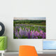 Landscape Of Lupins And Phlox, Clinton, Prince Edward Island Wall Mural