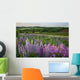 Landscape Of Lupins And Phlox, Clinton, Prince Edward Island Wall Mural