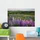 Landscape Of Lupins And Phlox, Clinton, Prince Edward Island Wall Mural