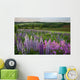 Landscape Of Lupins And Phlox, Clinton, Prince Edward Island Wall Mural