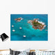 Aerial Paradise Island with Wall Decal