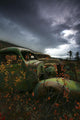 Storm Clouds Over Old Abandoned Trucks, North Canol Road, Yukon Wall Mural