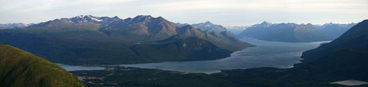 Panoramic Of Carcross And Bennett Lake Seen From Caribou Mountain Wall Mural