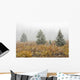 Snowfall On Meadow, Banff National Park, Alberta Wall Mural