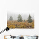 Snowfall On Meadow, Banff National Park, Alberta Wall Mural