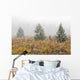 Snowfall On Meadow, Banff National Park, Alberta Wall Mural