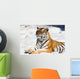 meditating tiger on snow background Wall Mural