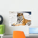 meditating tiger on snow background Wall Mural
