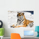 meditating tiger on snow background Wall Mural