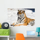 meditating tiger on snow background Wall Mural