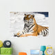 meditating tiger on snow background Wall Mural