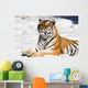 meditating tiger on snow background Wall Mural