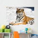 meditating tiger on snow background Wall Mural