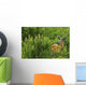 Whitetail Deer In Meadow, Killarney Provincial Park, Ontario Wall Mural
