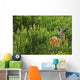 Whitetail Deer In Meadow, Killarney Provincial Park, Ontario Wall Mural
