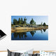 Tree's Reflection In Water, Georgian Bay, Ont Wall Mural