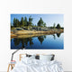 Tree's Reflection In Water, Georgian Bay, Ont Wall Mural