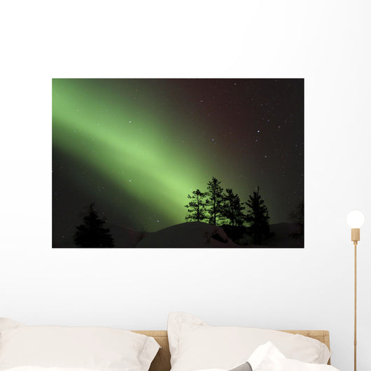 Northern Lights Disappear Behind Scattered Trees Wall Mural