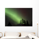 Northern Lights Disappear Behind Scattered Trees Wall Mural