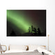 Northern Lights Disappear Behind Scattered Trees Wall Mural