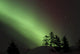 Northern Lights Disappear Behind Scattered Trees Wall Mural