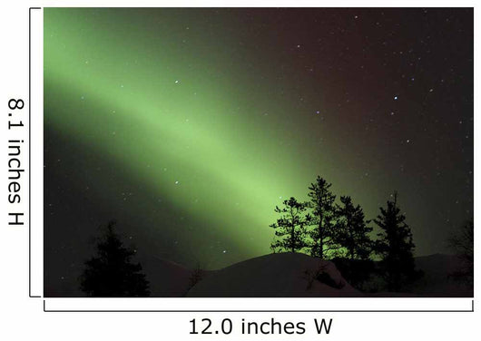 Northern Lights Disappear Behind Scattered Trees Wall Mural