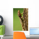 Podarcis Muralis Wall Lizard Wall Mural