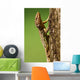 Podarcis Muralis Wall Lizard Wall Mural