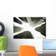 Architectural Photographs Of Business District In Toronto, Ontario Wall Mural