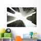 Architectural Photographs Of Business District In Toronto, Ontario Wall Mural