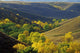 Aspen Bluffs In Autumn Colors, Saskatchewan Wall Mural
