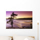 Pine Tree, Sturgeon Falls, Whiteshell Provincial Park, Manitoba Wall Mural