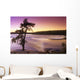 Pine Tree, Sturgeon Falls, Whiteshell Provincial Park, Manitoba Wall Mural
