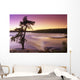 Pine Tree, Sturgeon Falls, Whiteshell Provincial Park, Manitoba Wall Mural
