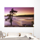 Pine Tree, Sturgeon Falls, Whiteshell Provincial Park, Manitoba Wall Mural