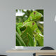 Brasilian Iguana 2 Wall Mural