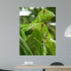 Brasilian Iguana 2 Wall Mural
