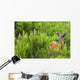Whitetail Deer In Meadow, Killarney Provincial Park, Ontario Wall Mural