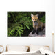 Young Red Fox On A Rock With Evergreen In Background Wall Mural