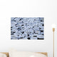 Pancake Ice On Whiteshell River, Whiteshell Provincial Park, Manitoba Wall Mural