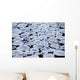 Pancake Ice On Whiteshell River, Whiteshell Provincial Park, Manitoba Wall Mural