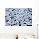 Pancake Ice On Whiteshell River, Whiteshell Provincial Park, Manitoba Wall Mural