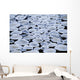 Pancake Ice On Whiteshell River, Whiteshell Provincial Park, Manitoba Wall Mural