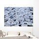 Pancake Ice On Whiteshell River, Whiteshell Provincial Park, Manitoba Wall Mural