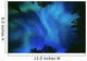 Northern Lights At Tilton Lake, Sudbury, Ontario Wall Mural