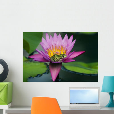 Frog Waterlily Urban Pond Wall Mural shown on a wall