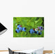 Close Up Of Blueberries Wall Mural