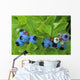 Close Up Of Blueberries Wall Mural